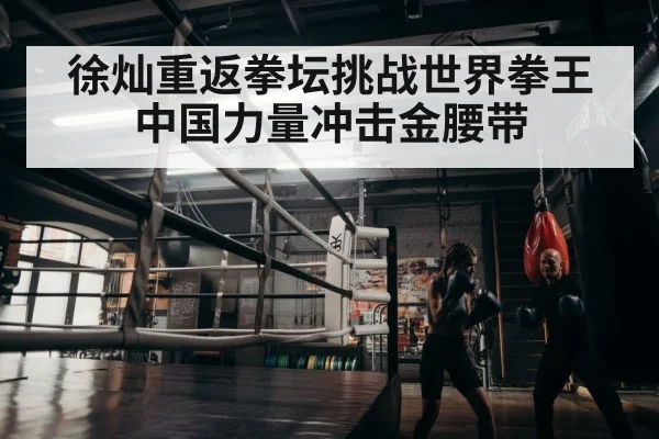 徐灿重返拳坛挑战世界拳王中国力量冲击金腰带