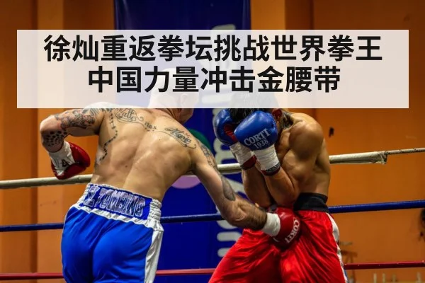 professional boxing match
