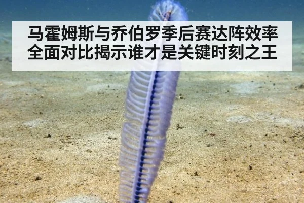 马霍姆斯与乔伯罗季后赛达阵效率全面对比揭示谁才是关键时刻之王